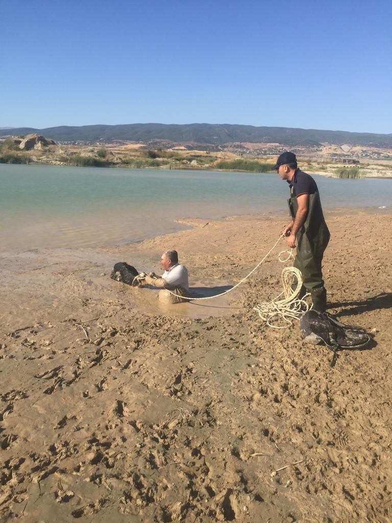 Kahramanmaraş'ta keçisini kurtarmak isterken az daha canından oluyordu - Resim: 4