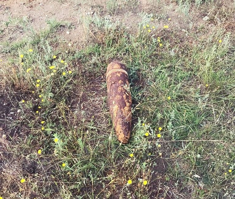 Tekirdağ'da çoban koyunları otlatırken buldu şoka girdi - Resim: 2