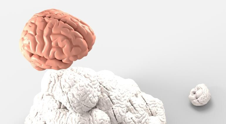 Korona salgını bitmeden yeni salgın başladı! 'Deli dana'ya benzeyen gizemli beyin hastalığı paniği - Resim: 2