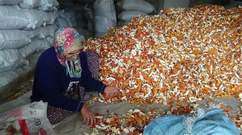 Kabuğu kendisinden 5 kat daha pahalı! - Resim: 1