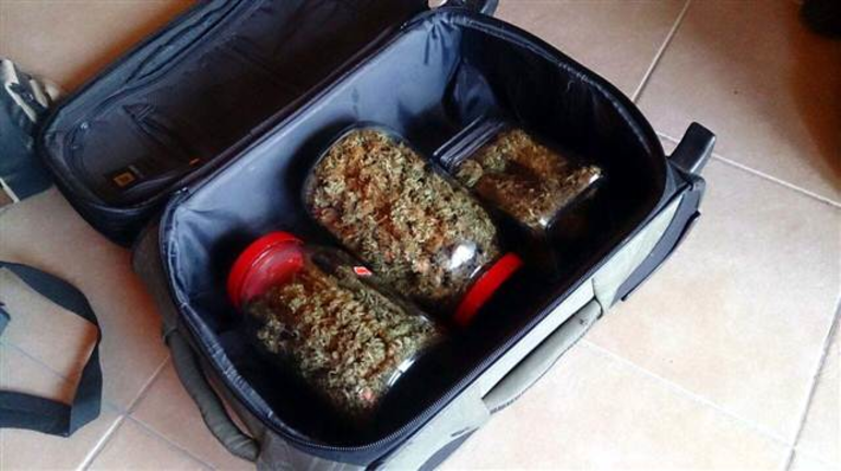 Selim Erdoğan'ı evindeki hassas terazi ele verdi - Resim: 3