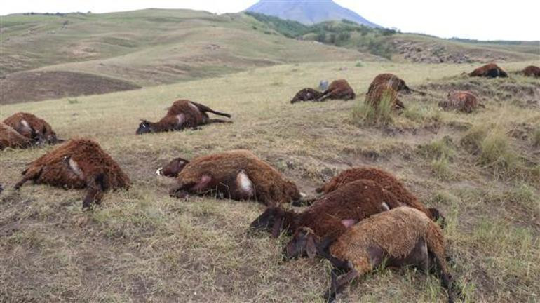 Kayalıklara sığındı, döndüğünde bu manzarayla karşılaştı - Resim: 2