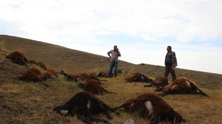 Kayalıklara sığındı, döndüğünde bu manzarayla karşılaştı - Resim: 3