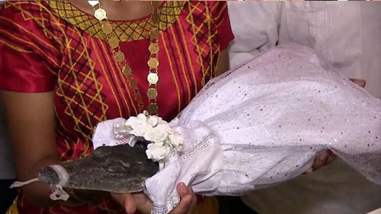 Timsaha gelinlik giydirip... Dünya bu adamı konuşuyor! - Resim: 2