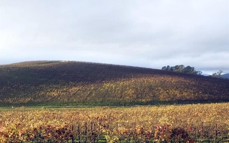 Dünyanın en bilinen manzarasıydı şimdi eski halinden eser yok - Resim: 4