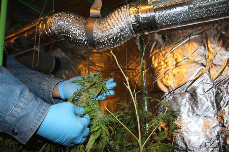 Böyle oturma odası görülmedi! Şaşıp kalacaksınız - Resim: 4