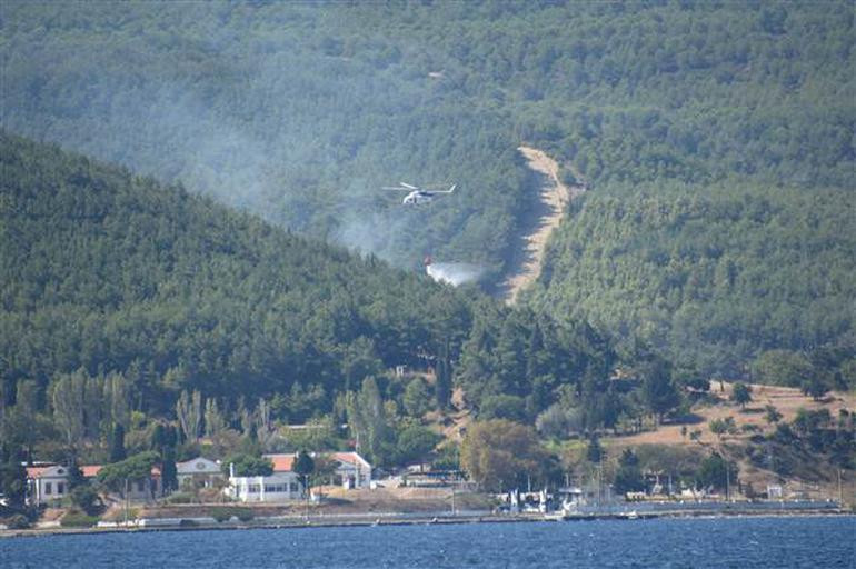 Gelibolu'da orman yangını kontrol altına alındı - Resim: 3