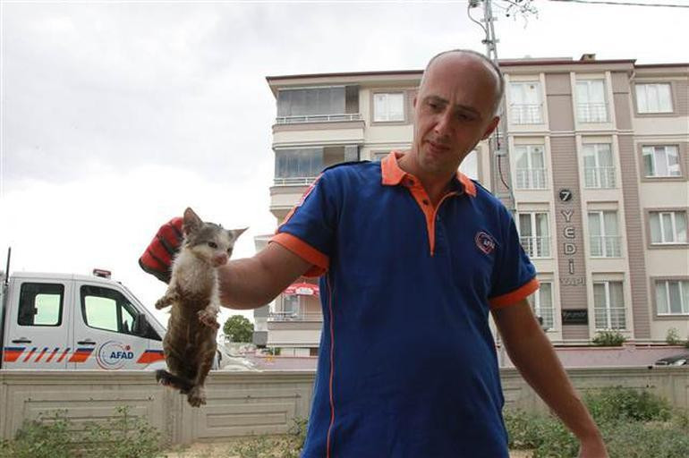 Tuvaletten çıkan 'yok artık' dedirtti - Resim: 3