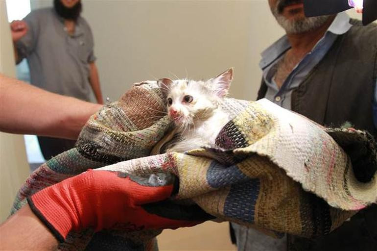 Tuvaletten çıkan 'yok artık' dedirtti - Resim: 4