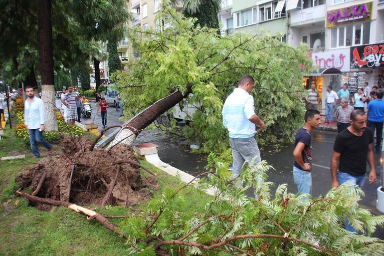 Yağmur ve sel Antalya'da tarım arazilerini Kırşehir'de arıları vurdu - Resim: 4