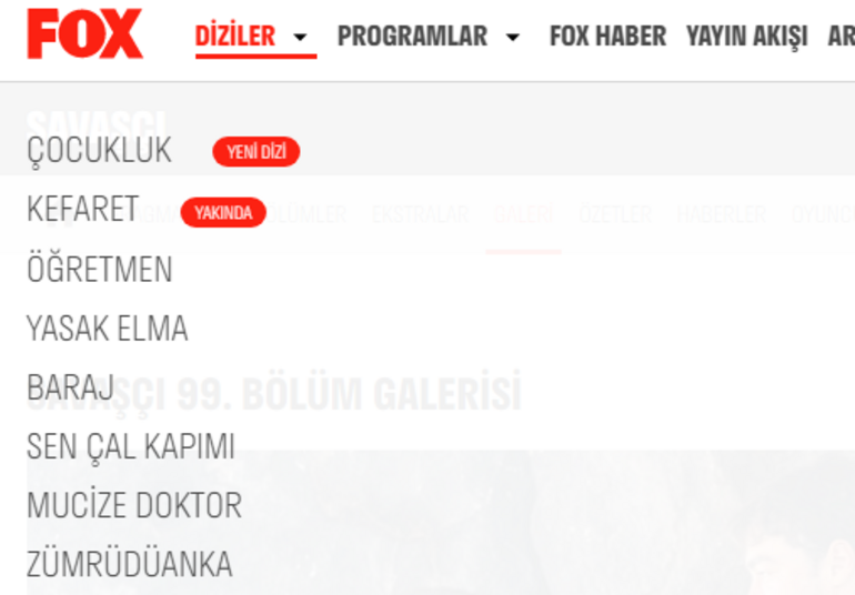 Fox TV Savaşçı dizisi final mi yapıyor? Berk Oktay'dan açıklama geldi - Resim: 3