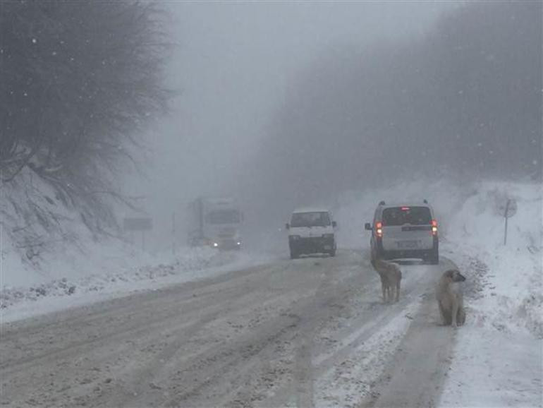 İstanbul'un yanıbaşına kar yağıyor! İstanbul'a da kar yağacak mı? - Resim: 4