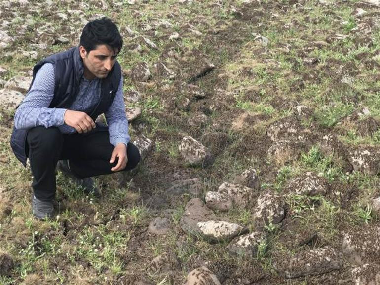 Her gün çaresizce nöbet tutuyorlar - Resim: 4