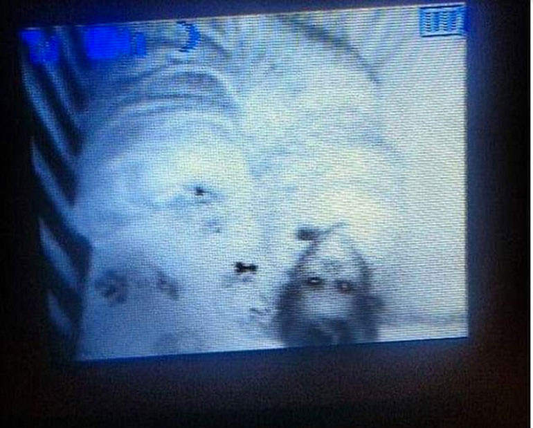 Bebeğinin odasına kamera koydu görüntüleri izleyince kanı dondu - Resim: 4