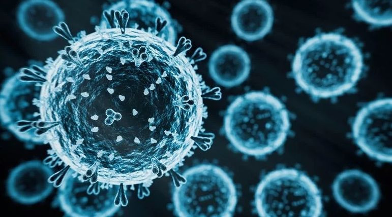 Avrupa’yı alarma geçiren süper grip Türkiye’de görüldü - Resim: 2