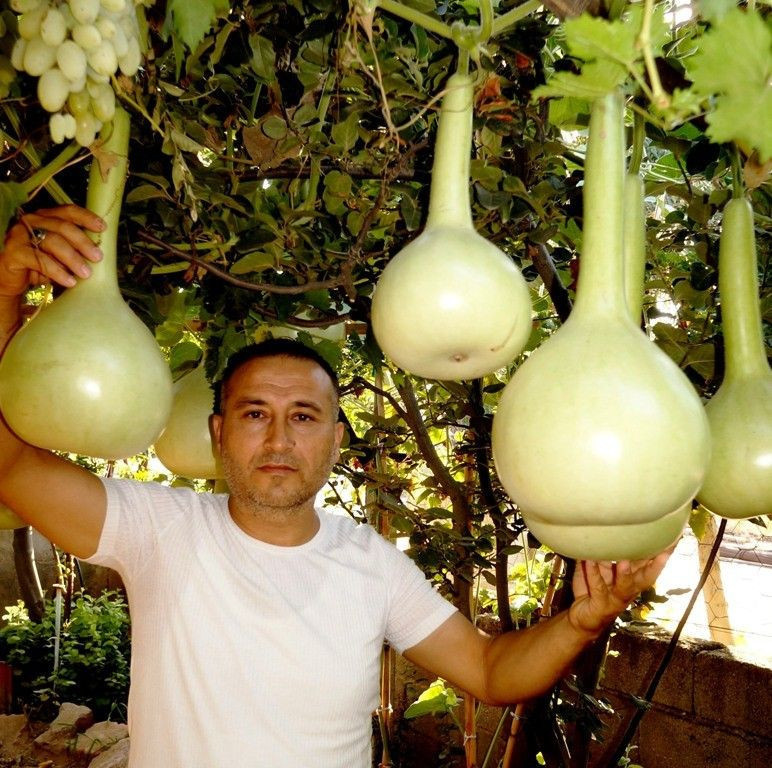 Manisa'da salgını fırsata çevirdi! İnternetten satışa başladı sipariş yağıyor - Resim: 2