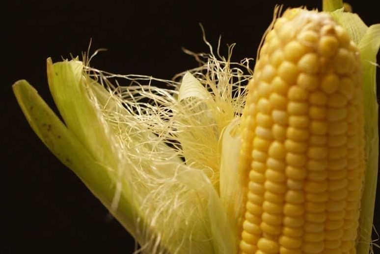 Mısırı yiyip püskülünü atmayın Faydaları inanılmaz - Resim: 2