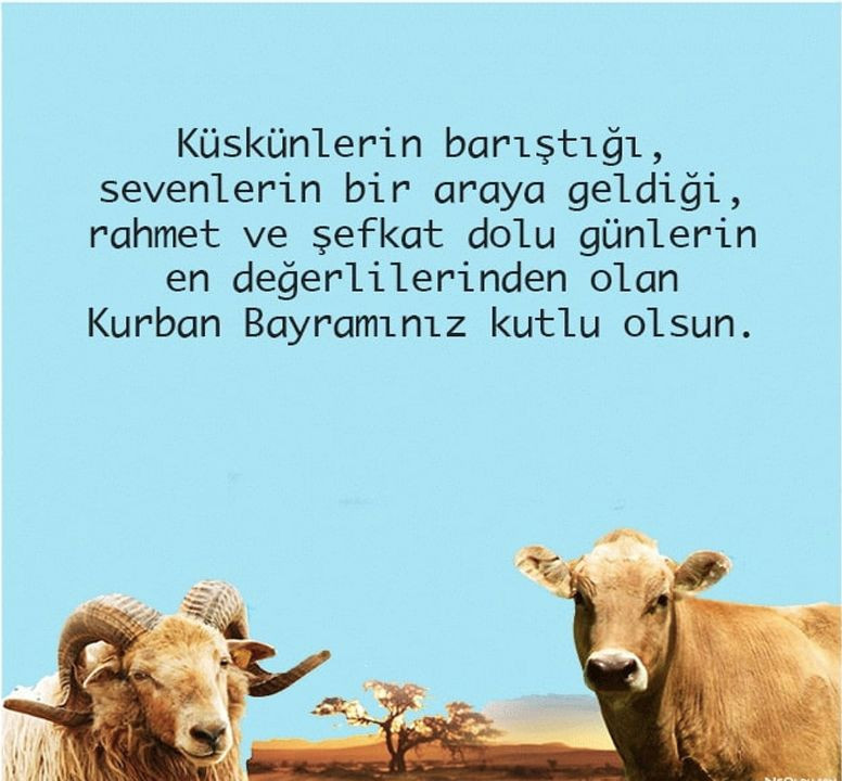 Kurban bayramı mesajları en güzel resimli kısa bayram tebrik sözleri - Resim: 4