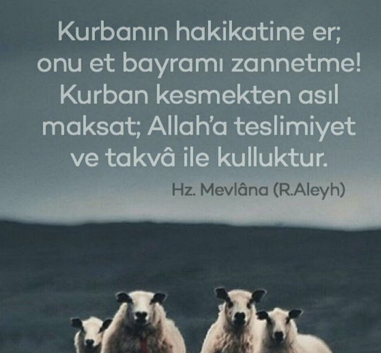 Kurban bayramı mesajları en güzel resimli kısa bayram tebrik sözleri - Resim: 3