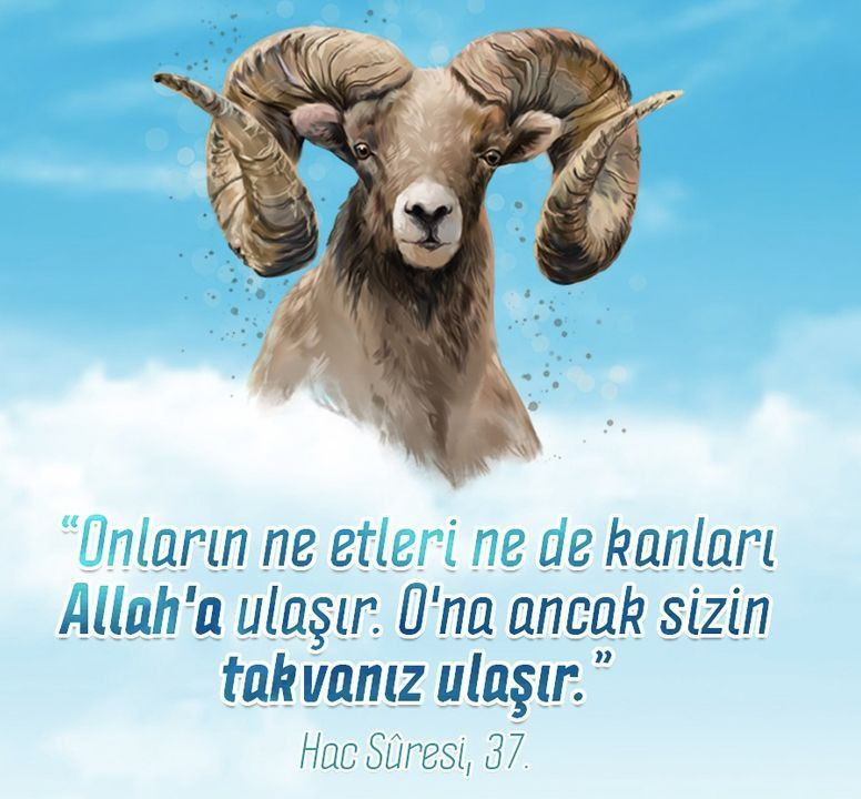 Kurban Bayramı mesajları resimli 2022 kısa ve komik Kurban bayramı sözleri - Resim: 2