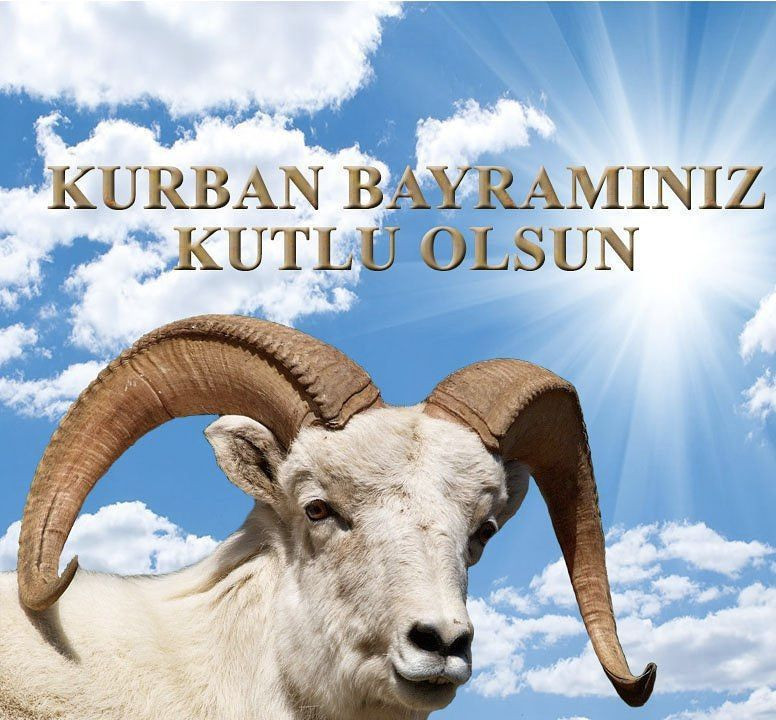 Kurban Bayramı mesajları resimli 2022 kısa ve komik Kurban bayramı sözleri - Resim: 3