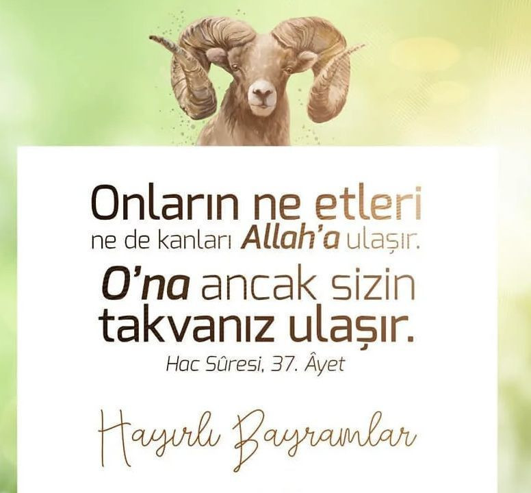 Kurban Bayramı mesajları resimli 2022 kısa ve komik Kurban bayramı sözleri - Resim: 4