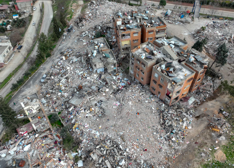 Hayvanlar depremi önceden hisseder mi Celal Şengör çok ilginç dedi anlattı - Resim: 1