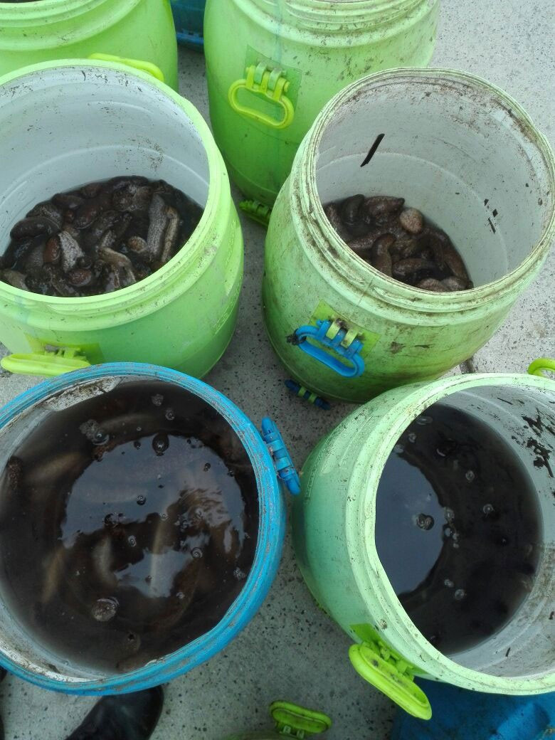 İhbar ortaya çıkardı hepsi şüpheli minibüsten çıktı! - Resim: 2