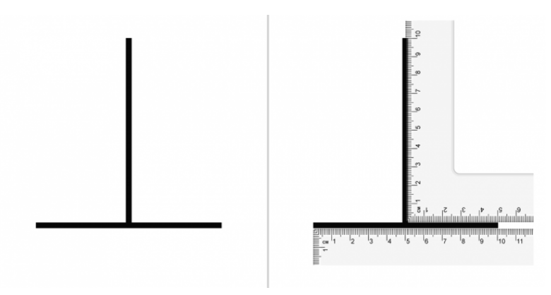 Bu ayakkabı hangi renk? Herkes farklı bir şey söylüyor eğer yeşil-gri görüyorsanız... - Resim: 3