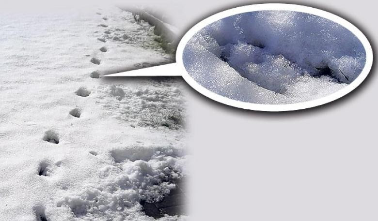 Çanakkale Savaşı'nda inanılmaz olay bu sır hala çözülmedi - Resim: 2