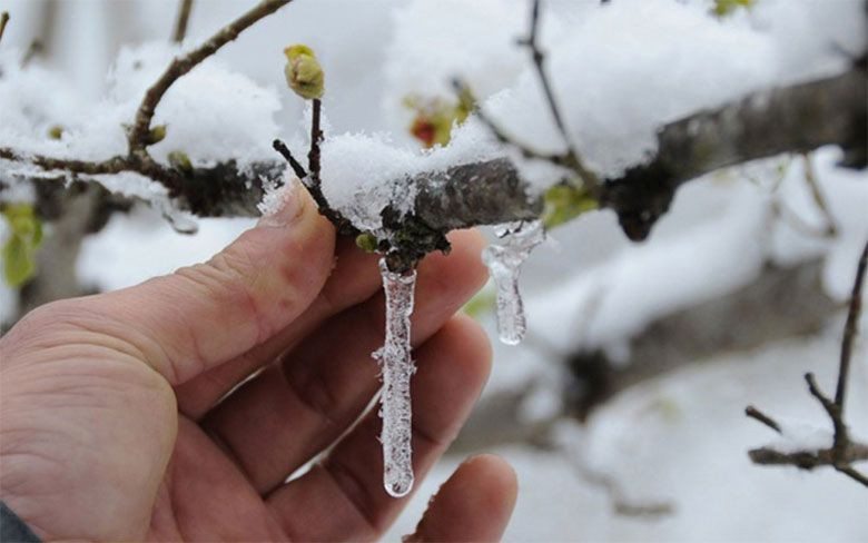 Yarın geliyor Meteoroloji açıkladı pazartesi kadar herşeyi donduracak! - Resim: 1