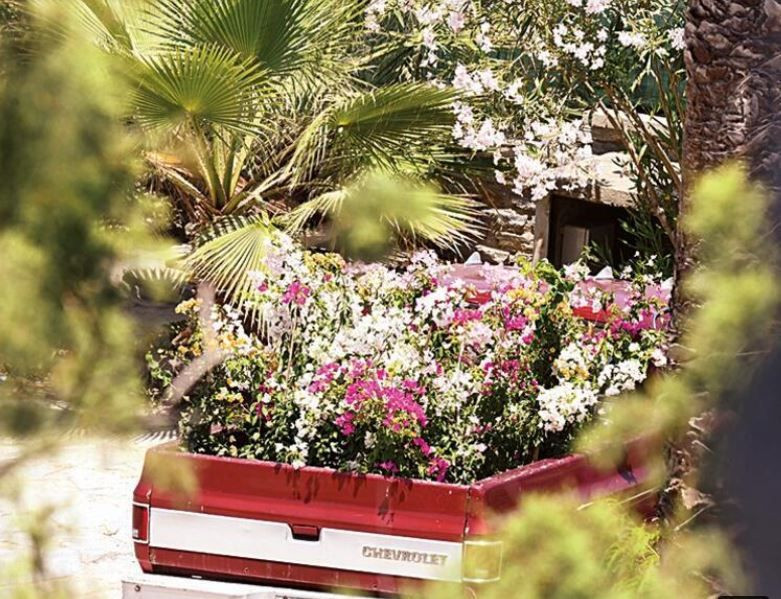 Sezen Aksu'nun evine bir kamyon çiçek geldi! - Resim: 2