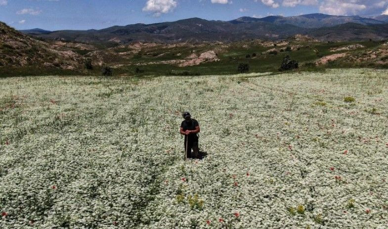 Sivas'ta 'kış geri geldi' dedirtecek görüntüler! - Resim: 1
