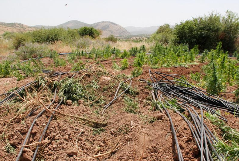Uyuşturucu ticaretine büyük darbe - Resim: 2