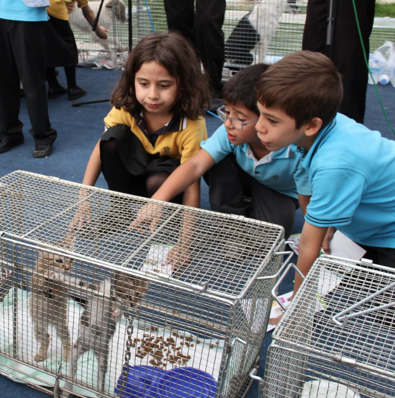 Bakırköy 'Can Dostlarını' sahiplendiriyor - Resim: 3