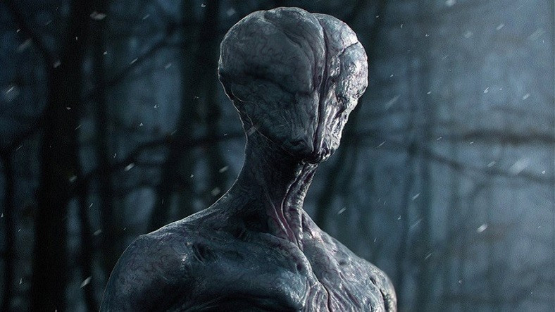 Eski bakan: 82 uzaylı türü dünyada dolaşıyor - Resim: 1