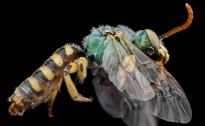 Bunların ne olduğuna inanamayacaksınız - Resim: 3