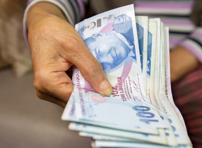 İşte yüksek maaş alma formülü! Yeni emekliler nasıl çifte kazanç sağlayacak? - Resim: 3