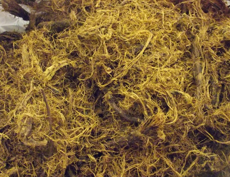 Kökünü kaynayıp için! 100 kanıtlanmış faydası var - Resim: 3