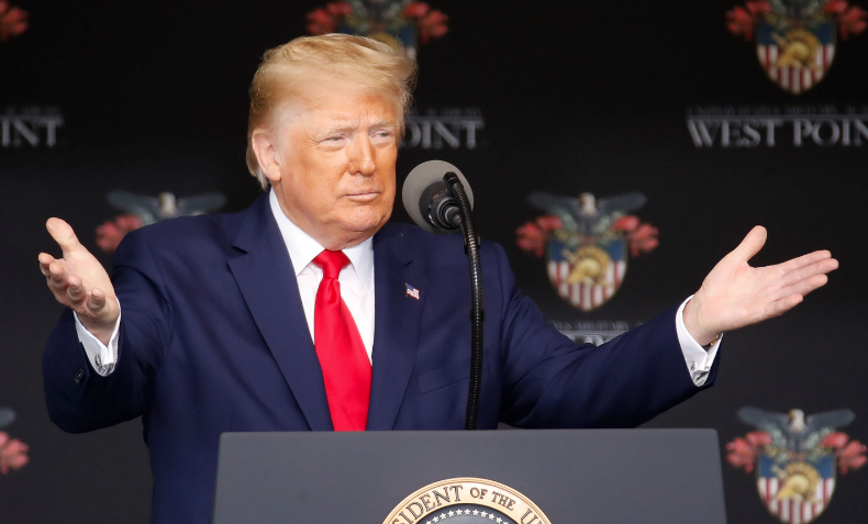 Yeğeni Trump'ın tüm kirli sırlarını ifşa etti! Göğüslerini görünce ona asılmış - Resim: 1