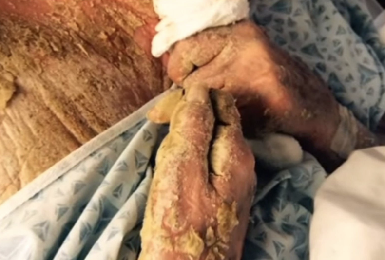 Eski sunucunun korkunç ölümü! Böceklere yem oldu - Resim: 4