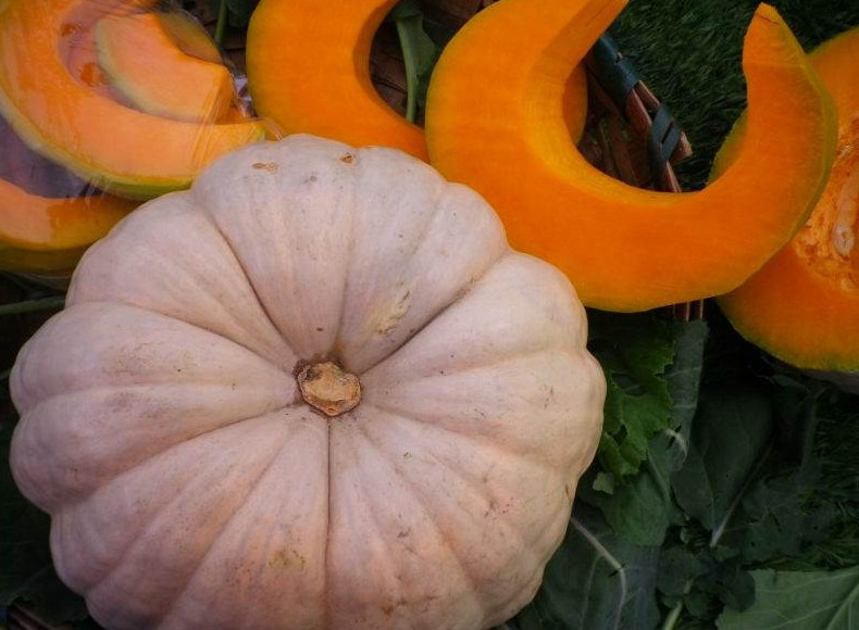 Yedikçe cinsel istediğiniz artacak! Balkabağı tam bir mucize - Resim: 1