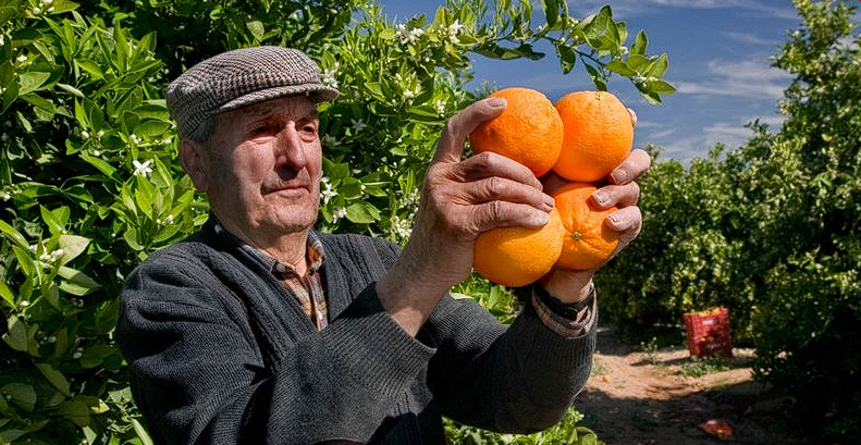 Gıdada enflasyona karşı yeni model! Yüzde 75'ini devlet karşılayacak işte ayrıntılar - Resim: 4