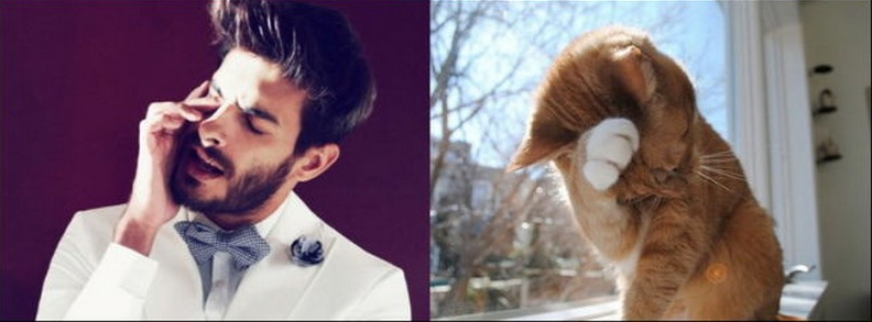 Kedilerle insanlar aynı pozu verirlerse... - Resim: 2