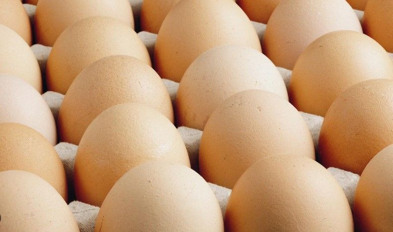 Yumurtayı bu şekilde yiyerek 10 günde 5 kilo verin, oturduğunuz yerden yağ yakacaksınız - Resim: 3