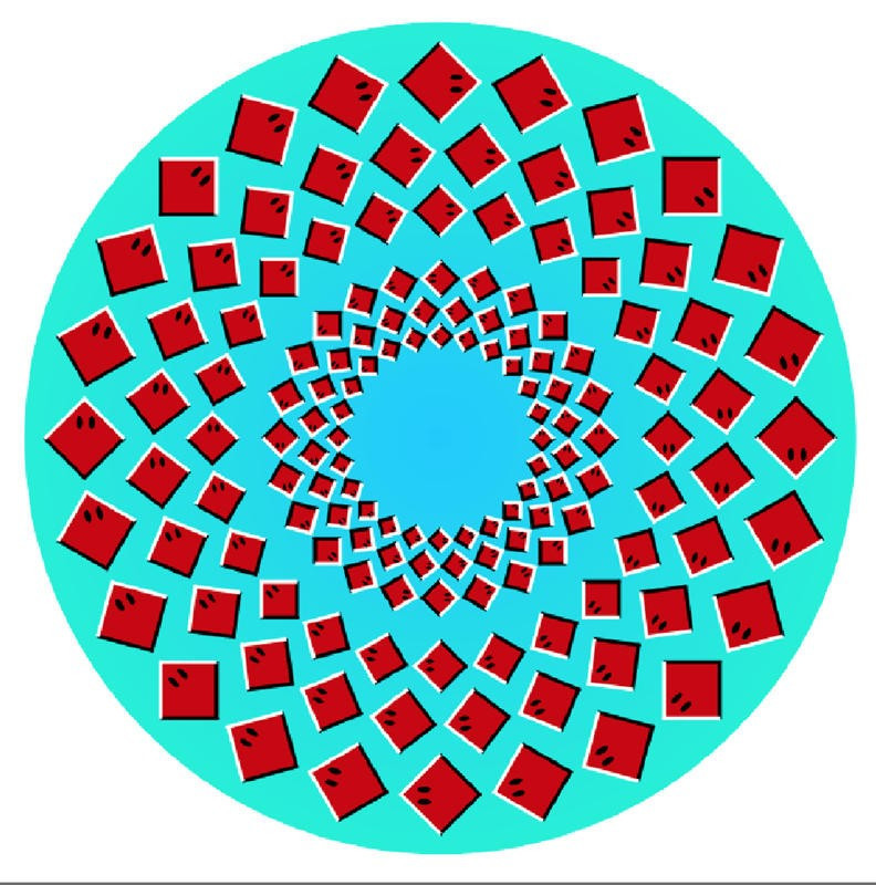 Aslında gördüğünüz gibi değil! Beyniniz sizi kandırıyor - Resim: 4