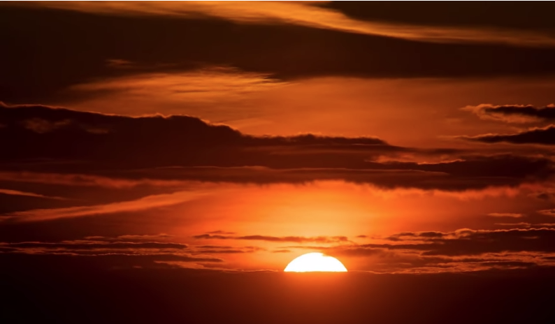 Bu hayvanı görürseniz yakın bir zamanda kıyamet kopacak - Resim: 2