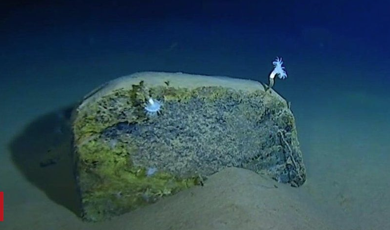 Dünyanın en derin yeri Mariana çukurunda bulunanlar yok artık dedirtti - Resim: 2