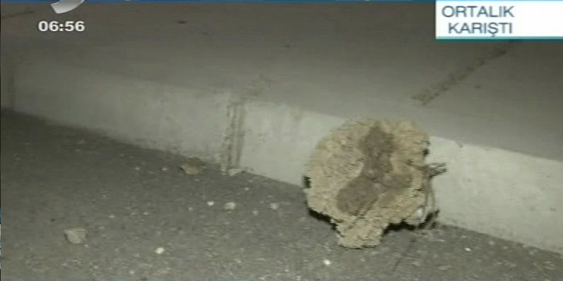 Fenerbahçe taraftarıyla polis birbirine girdi - Resim: 3