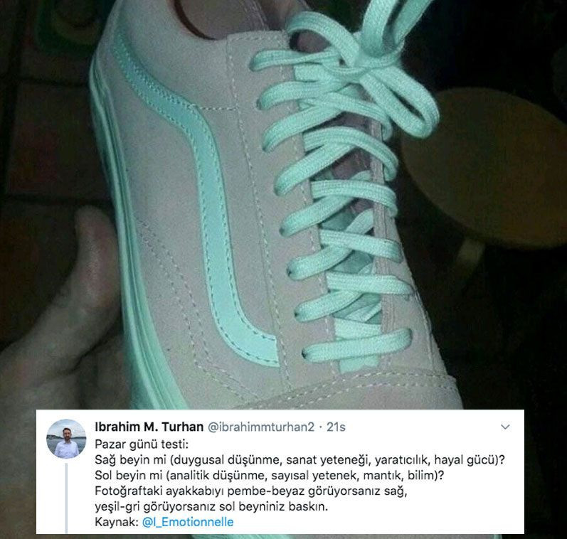 Bu ayakkabı hangi renk? Herkes farklı bir şey söylüyor eğer yeşil-gri görüyorsanız... - Resim: 2